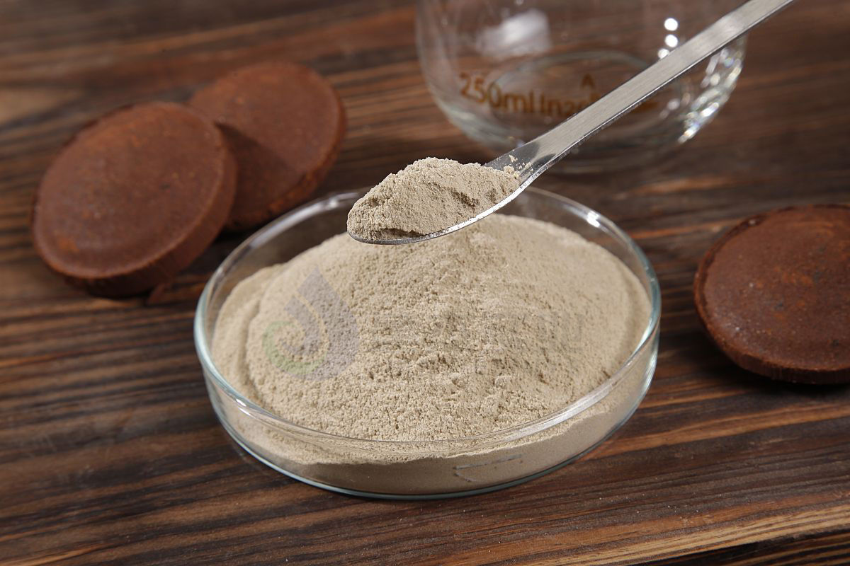 轉底爐工藝是什么？